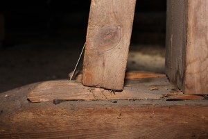 Kilen løfter beinet litt ut av fotplaten. 