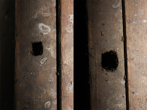 Spor etter benkehake.             Spor etter killingfot.