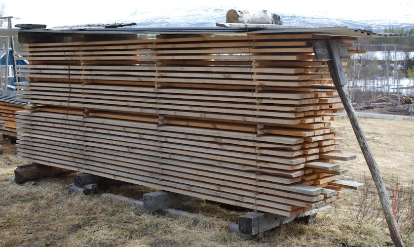 Emna til golvbord har lege ein vinter i ein liggande bordstabel som er strølagt og overdekt med bølgeblikk.Foto: Roald Renmælmo