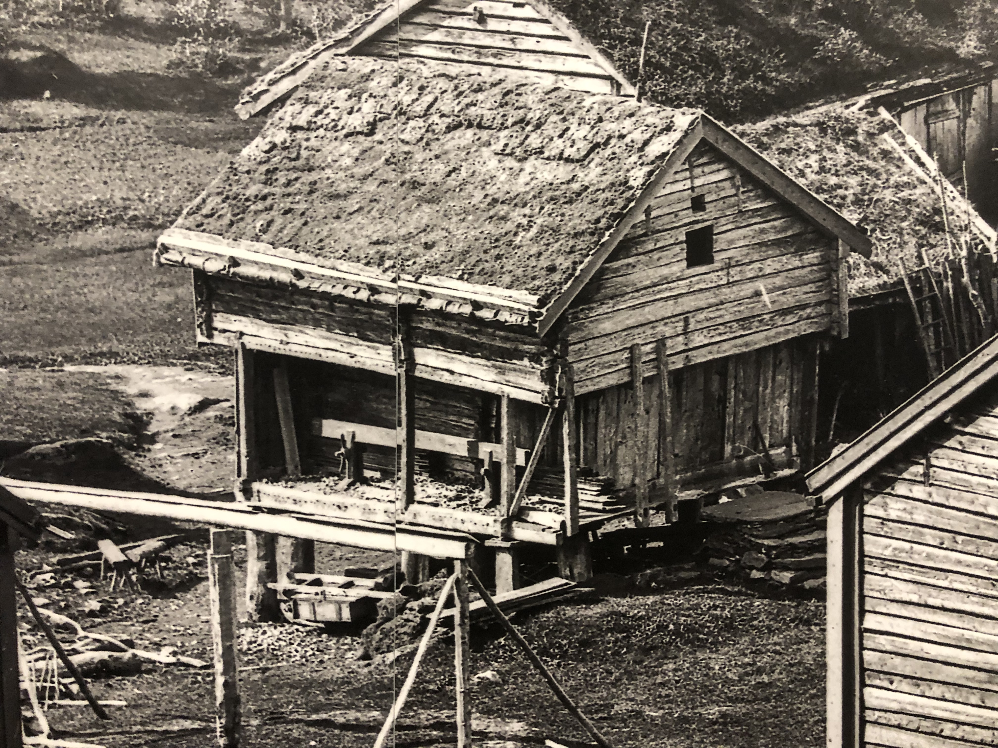 Bilde 01.10.2019, 13 39 36